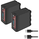 Shentec 7.4V, 8800mAh Li-ion NP-F970 NP-F980 Akku für Sony DCR-VX2100, DSR-PD150, DSR-PD170, FDR-AX1, HDR-AX2000, HDR-FX1, HDR-FX7, NP-F960, NP-F930, NP -F950, NP-F770, NP-F750